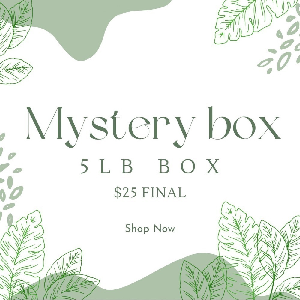 5lb Mystery Box